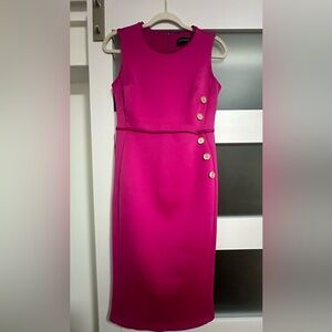 Fucsia Dress, size 4